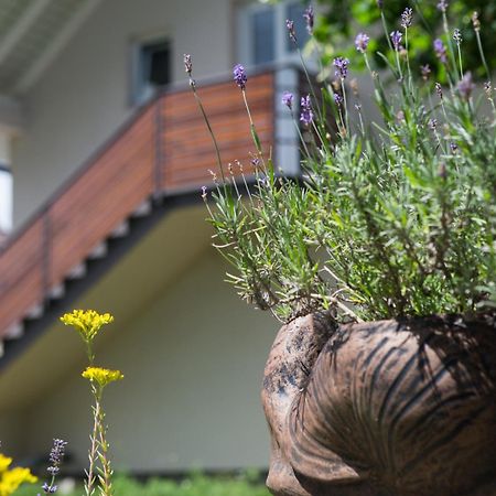 Apartment Kalimero Otočac Dış mekan fotoğraf