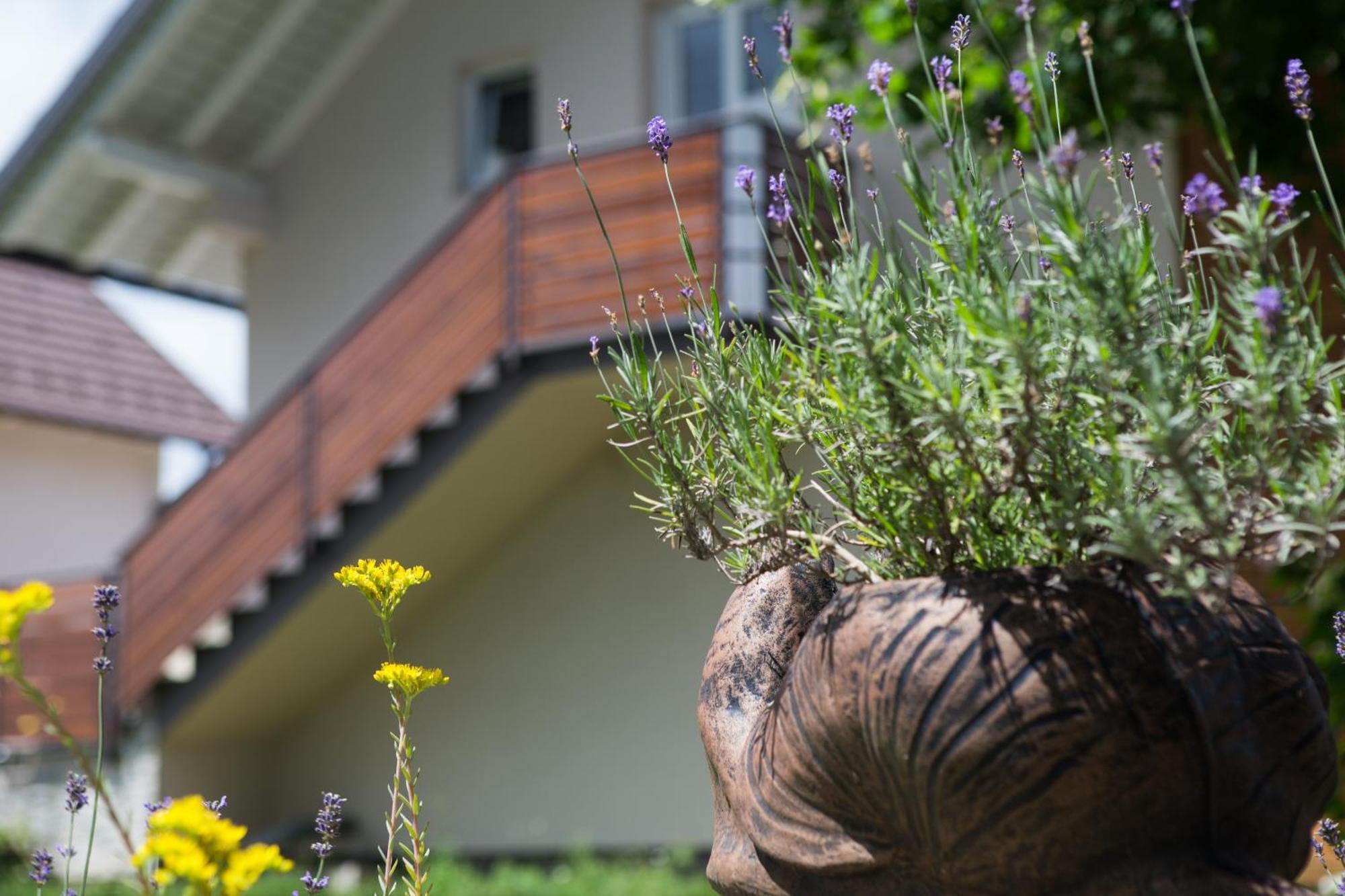 Apartment Kalimero Otočac Dış mekan fotoğraf